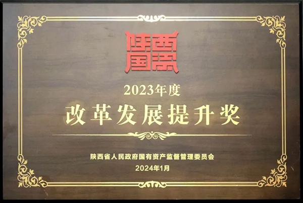 1709606604197724.jpeg 4.jpg